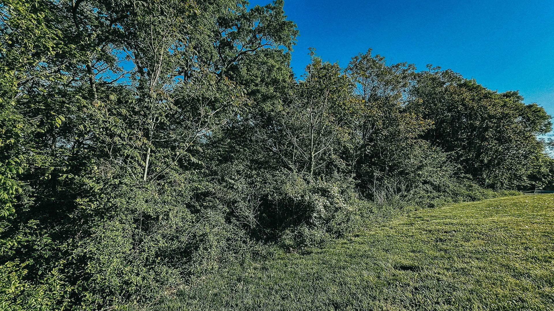 Land Clearing Middle Tennessee