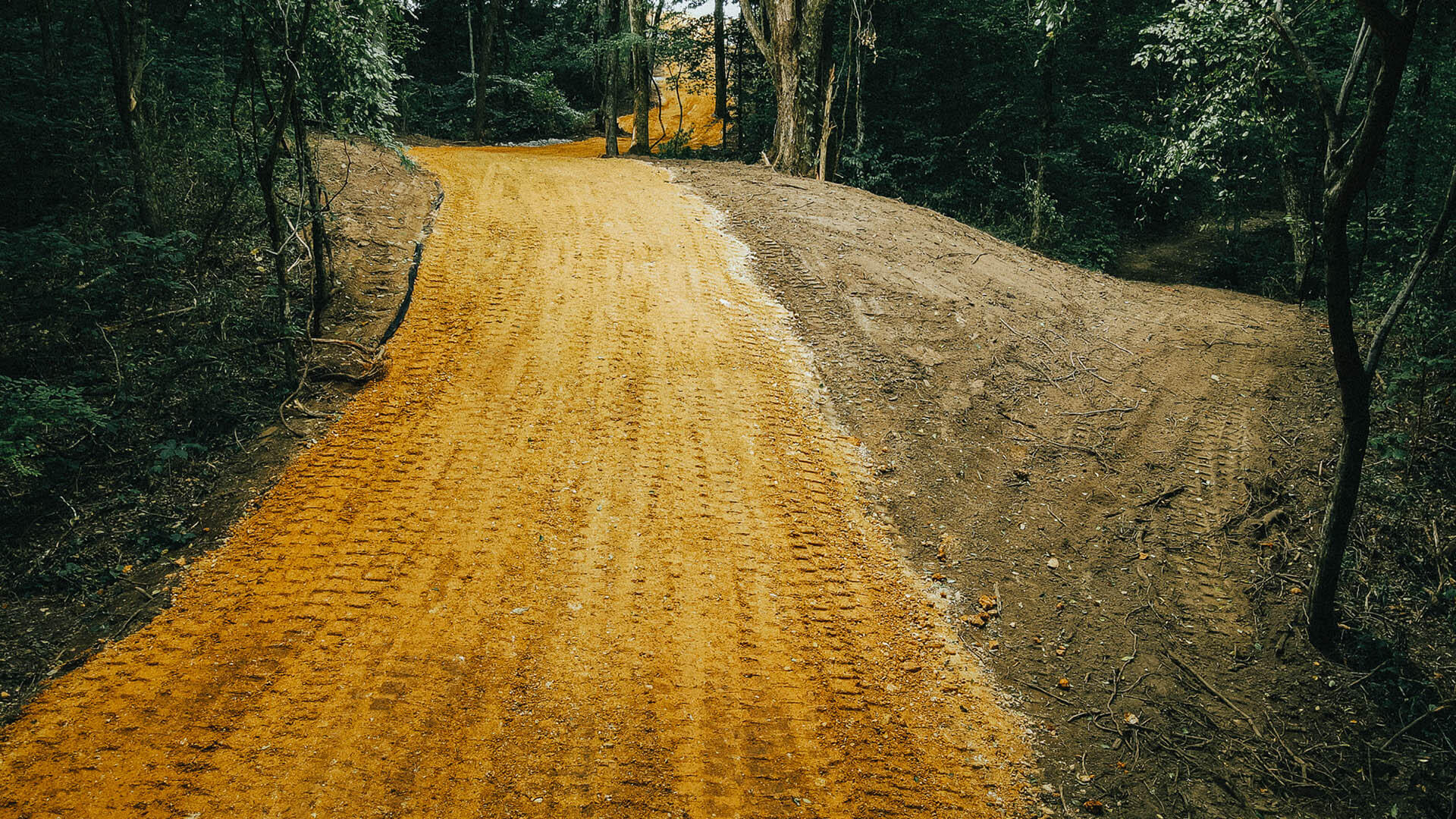 Land Clearing Middle Tennessee
