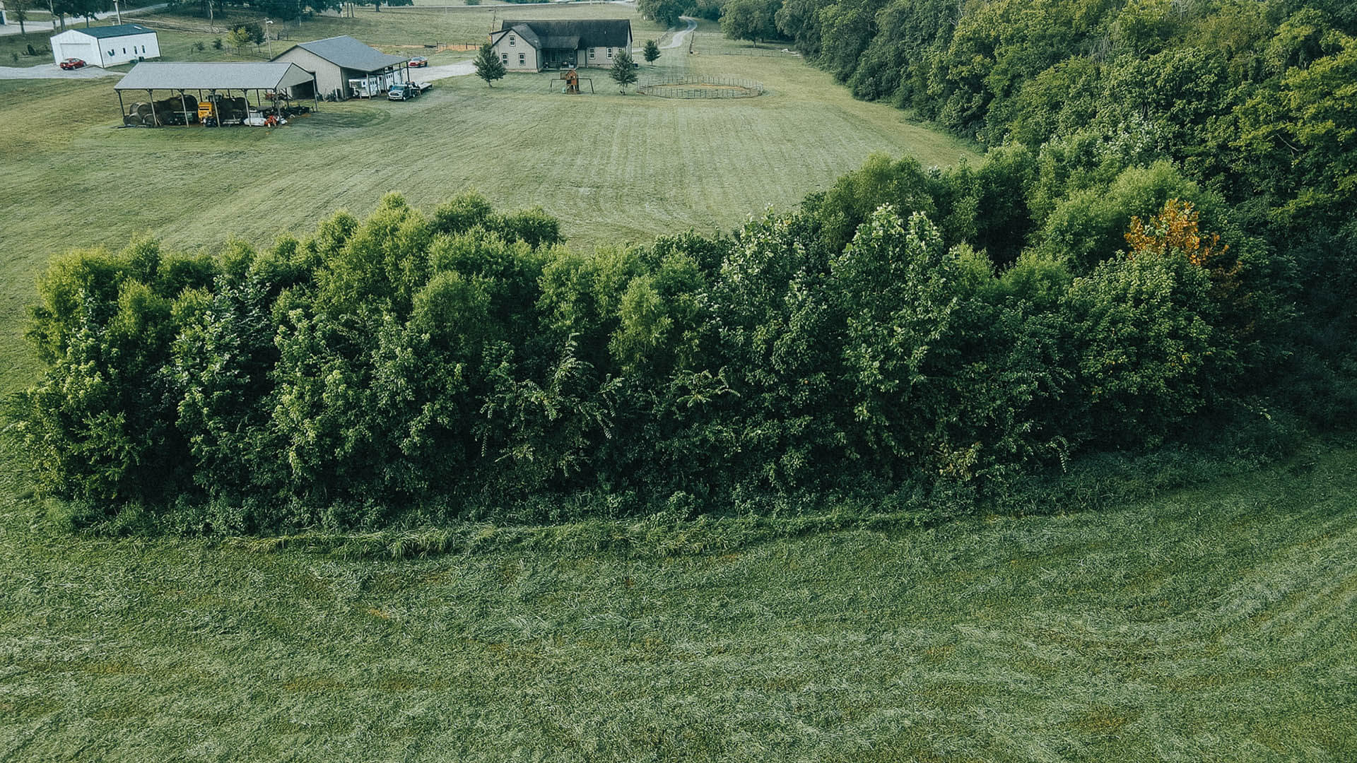 Land Clearing Middle Tennessee